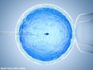 层流实验室